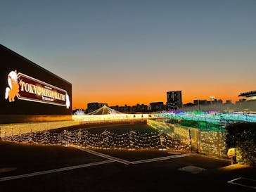 東京メガイルミに投稿された画像（2023/1/7）