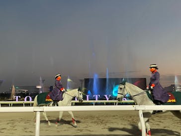 東京メガイルミに投稿された画像（2023/1/7）