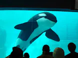 名古屋港水族館に投稿された画像（2023/1/7）