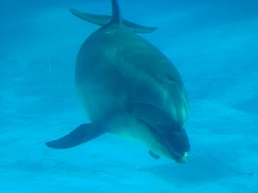 名古屋港水族館に投稿された画像（2023/1/7）