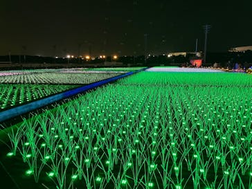 東京メガイルミに投稿された画像（2023/1/7）