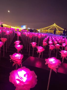 東京メガイルミに投稿された画像（2023/1/7）