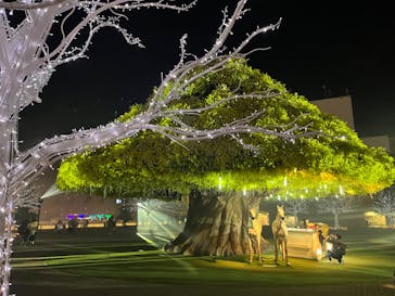 東京メガイルミに投稿された画像（2023/1/7）