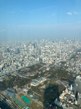 ハルカス300(展望台)に投稿された画像（2023/1/7）