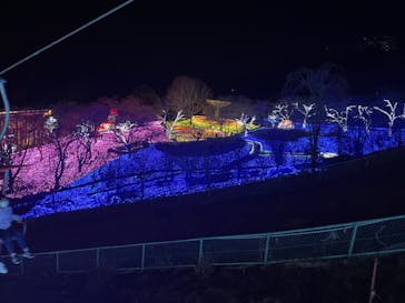 さがみ湖MORI MORIに投稿された画像（2023/1/7）