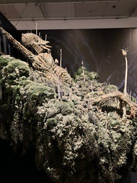 アニメージュとジブリ展に投稿された画像（2023/1/7）