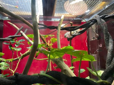 カワスイ 川崎⽔族館に投稿された画像（2023/1/7）