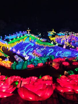 伊豆ぐらんぱる公園に投稿された画像（2023/1/7）