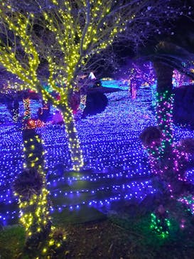 伊豆ぐらんぱる公園に投稿された画像（2023/1/7）