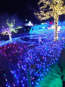 伊豆ぐらんぱる公園に投稿された画像（2023/1/7）