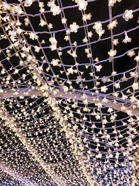 東京メガイルミに投稿された画像（2023/1/7）