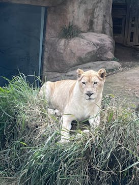 沖縄こどもの国に投稿された画像（2023/1/7）