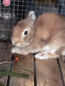 沖縄こどもの国に投稿された画像（2023/1/7）