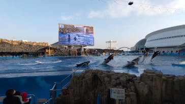 名古屋港水族館に投稿された画像（2023/1/7）