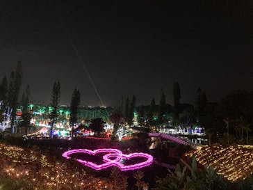 美らヤシパークオキナワ・東南植物楽園に投稿された画像（2023/1/7）