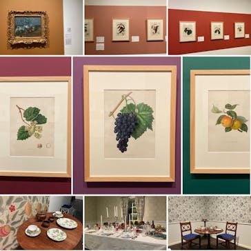 おいしいボタニカル・アート　食を彩る植物のものがたり(SOMPO美術館)に投稿された画像（2023/1/7）