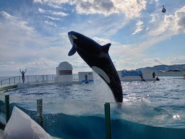 鴨川シーワールドに投稿された画像（2023/1/7）