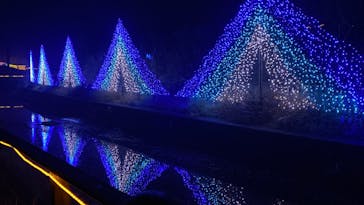 KYOTO ILLUMINATION SYNESTHESIA HILLS るり渓温泉に投稿された画像（2023/1/7）