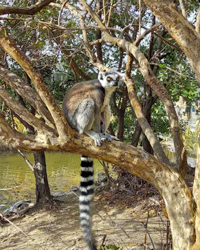 神戸どうぶつ王国に投稿された画像（2023/1/7）