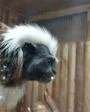 神戸どうぶつ王国に投稿された画像（2023/1/7）