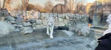 東武動物公園に投稿された画像（2023/1/7）