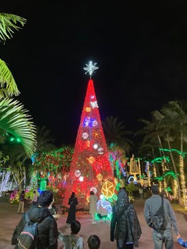 美らヤシパークオキナワ・東南植物楽園に投稿された画像（2023/1/7）