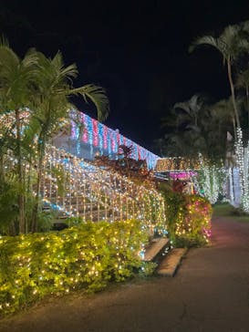 美らヤシパークオキナワ・東南植物楽園に投稿された画像（2023/1/7）