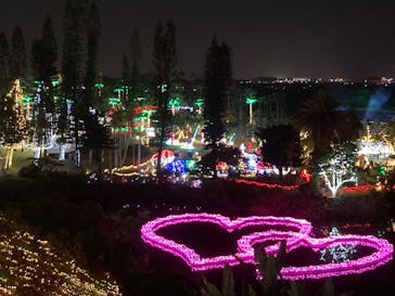 美らヤシパークオキナワ・東南植物楽園に投稿された画像（2023/1/7）