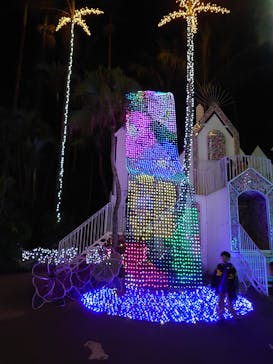 美らヤシパークオキナワ・東南植物楽園に投稿された画像（2023/1/7）