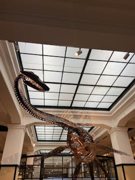 国立科学博物館に投稿された画像（2023/1/7）