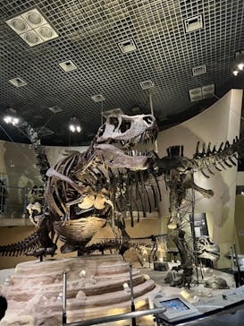 国立科学博物館に投稿された画像（2023/1/7）