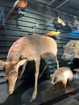 国立科学博物館に投稿された画像（2023/1/7）