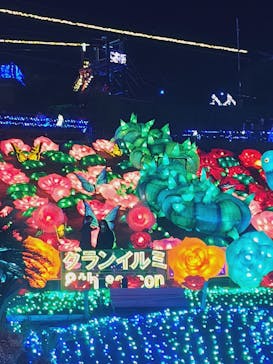 伊豆ぐらんぱる公園に投稿された画像（2023/1/7）