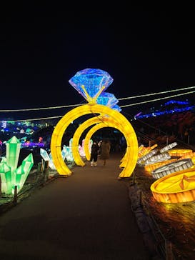 伊豆ぐらんぱる公園に投稿された画像（2023/1/7）