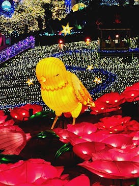 伊豆ぐらんぱる公園に投稿された画像（2023/1/7）