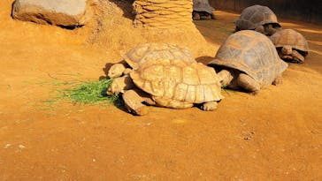 体感型動物園iZooに投稿された画像（2023/1/7）
