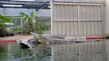 体感型動物園iZooに投稿された画像（2023/1/7）