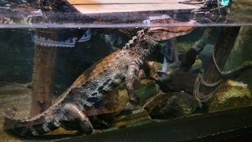 体感型動物園iZooに投稿された画像（2023/1/7）