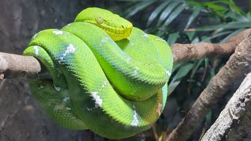 体感型動物園iZooに投稿された画像（2023/1/7）