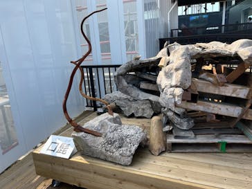 首里城公園 有料区域に投稿された画像（2023/1/7）