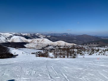 白樺湖ロイヤルヒルに投稿された画像（2023/1/7）