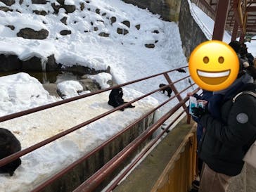 奥飛騨クマ牧場に投稿された画像（2023/1/7）