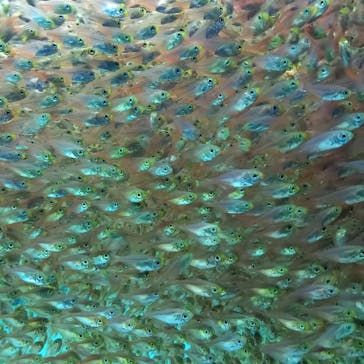 環境水族館アクアマリンふくしまに投稿された画像（2023/1/7）