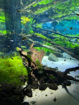 カワスイ 川崎⽔族館に投稿された画像（2023/1/8）