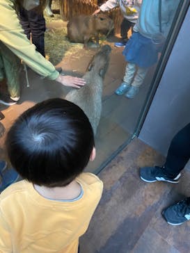 カワスイ 川崎⽔族館に投稿された画像（2023/1/8）