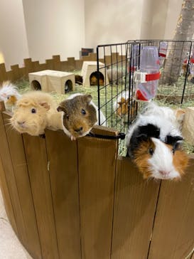 カワスイ 川崎⽔族館に投稿された画像（2023/1/8）