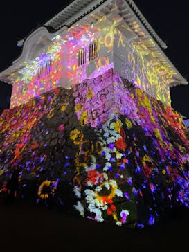 福山城400年博-FUKUYAMA CASTLE EXPO 2022- RCC開局70年 「チームラボ 福山城 光の祭」に投稿された画像（2023/1/8）
