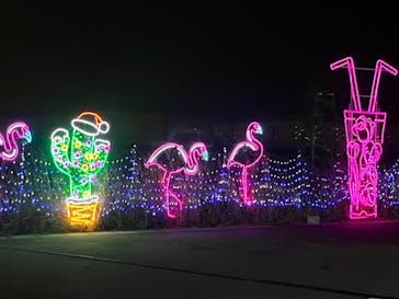 ドライブスルー堺イルミナージュに投稿された画像（2023/1/8）