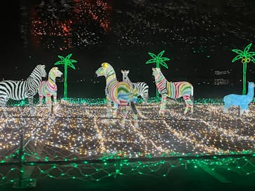 ドライブスルー堺イルミナージュに投稿された画像（2023/1/8）