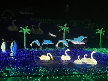 ドライブスルー堺イルミナージュに投稿された画像（2023/1/8）